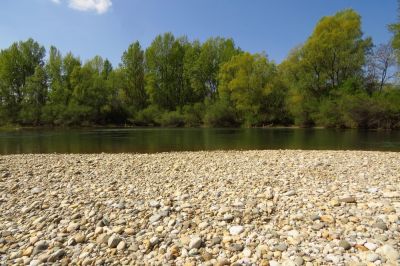 Improve Soil Drainage!